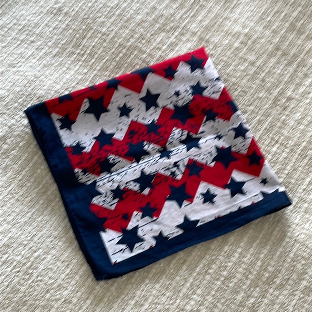 Red and Blue Patterned Scarf